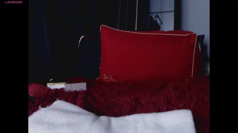 Snapshot of lillyerikson chatting on 03.09.25 lillyerikson online show from 03.09.25