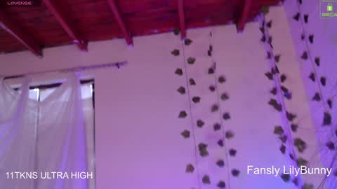 Snapshot of lily_bunny_1 chatting on 12.06.24 Fansly LilyBunny- help me reach 50 thumbs up online show from 12.06.24