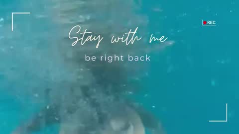 Lily online show from 02.04.26