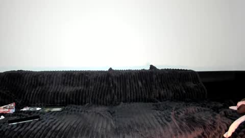  and more  - for fans and creators online show from 02.26.25