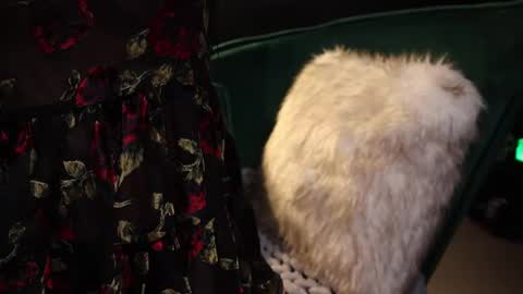 Snapshot of lireesa chatting on 02.20.25 Lire online show from 02.20.25