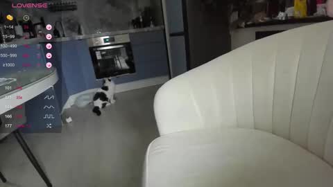 Lisa online show from 03.31.26