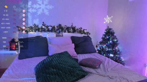Snapshot of little_misaki chatting on 12.29.24 Maria online show from 12.29.24