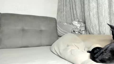 Snapshot of little_princess777 chatting on 02.21.26 my Instagram online show from 02.21.26