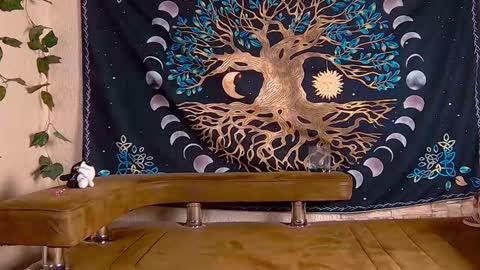 Sofia online show from 01.29.25