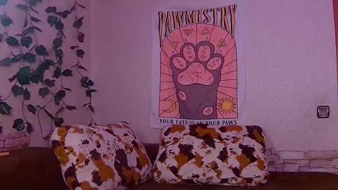 Sofia online show from 02.06.25