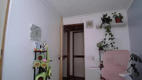 Laksmi online show from 03.07.26