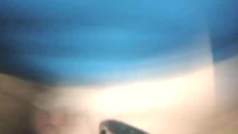 littlestick online show from 01.12.26