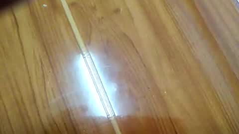 llee80776 online show from 03.21.26