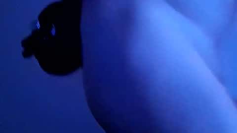 lllortx online show from 12.31.24