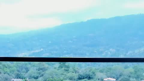 Lynx Mist online show from 01.13.26