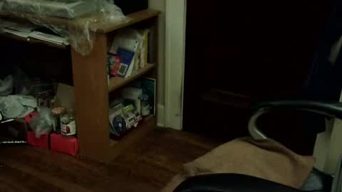 loades182025 online show from 11.12.25