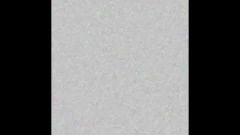 Your only Peach online show from 09.19.25