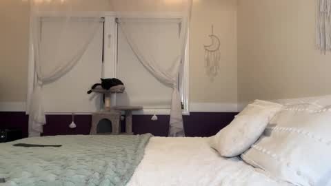 Lola 3 online show from 12.17.24