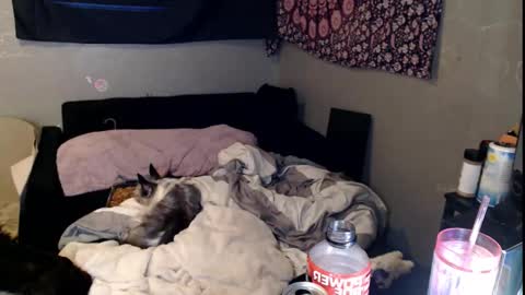 londonray online show from 11.15.25