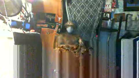 Snapshot of longloadedtx chatting on 10.22.25 Mr. FogoDeChao online show from 10.22.25