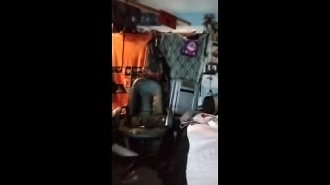 Mr. FogoDeChao online show from 02.03.26