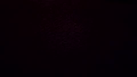 longxlt online show from 03.22.26