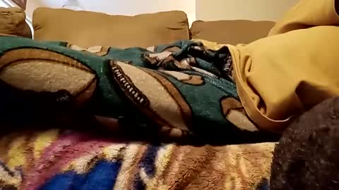 looking4bush online show from 12.15.24