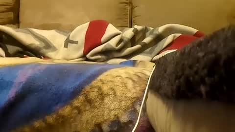 Snapshot of looking4bush chatting on 01.19.26 looking4bush online show from 01.19.26