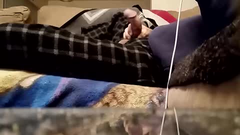 Snapshot of looking4bush chatting on 03.18.26 looking4bush online show from 03.18.26