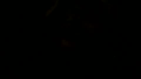 Snapshot of loose565 chatting on 02.23.26 loose565 online show from 02.23.26