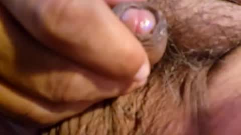 2791 3D online show from 03.05.26