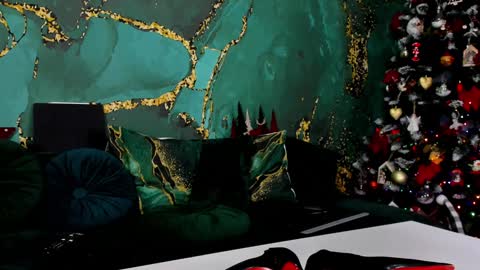 Snapshot of lorawarnner chatting on 12.13.24 Miss online show from 12.13.24