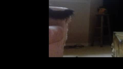 love69bush online show from 02.04.26