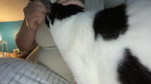 Kate online show from 04.25.26