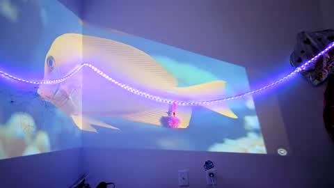 lovecandycunt143 online show from 09.25.25