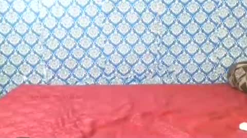 Divya online show from 07.22.26