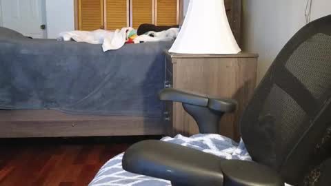 Amber online show from 11.03.25