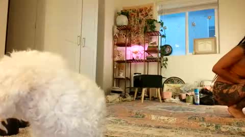 lovelyxmacii online show from 05.08.26