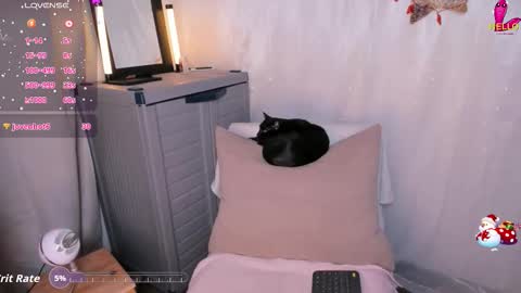 Danna online show from 12.03.25