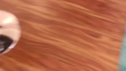 lovingcouple1969 online show from 02.07.26