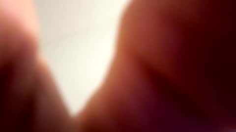 low8911 online show from 02.21.26