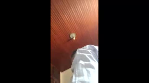 lucas online show from 01.16.26