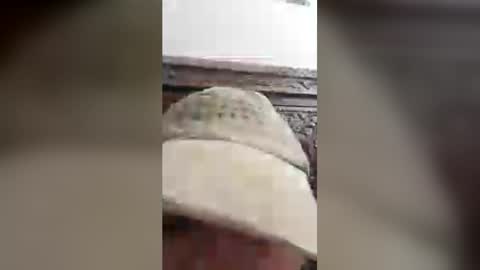 luckyfalcon2022 online show from 06.30.26