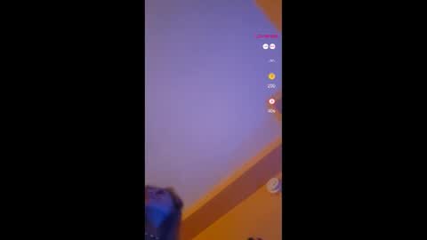 Lucy Vybes and Go-Gert online show from 11.18.25