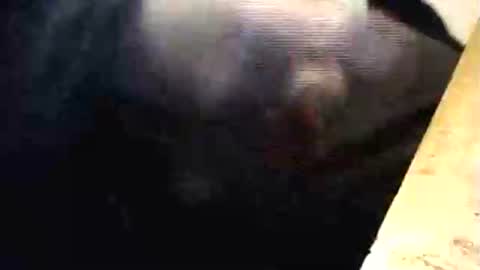 lukestarfckr online show from 03.01.26