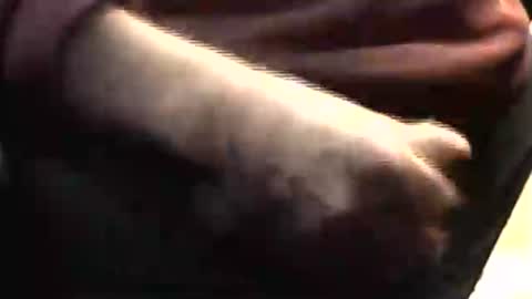 lukestarfckr online show from 03.29.26