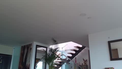 Lukhas f4f online show from 02.12.25