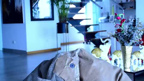 Lukhas f4f online show from 02.26.25