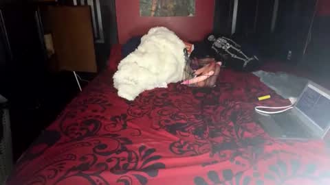 Lulu online show from 02.14.25