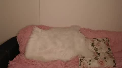 Luna online show from 02.13.26