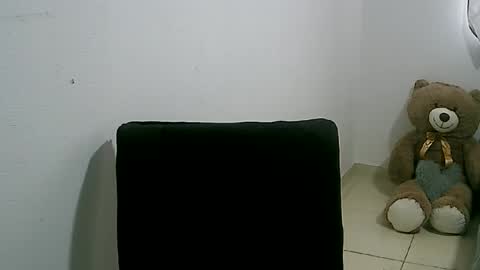 Snapshot of lunaa_sub chatting on 01.26.25 lunaa_sub online show from 01.26.25