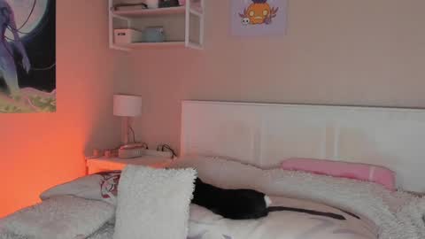 Sofia online show from 12.24.24