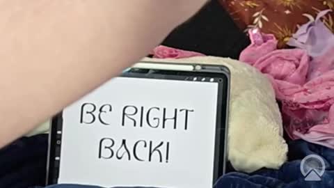 Lunar Fae Stellaris online show from 02.13.26