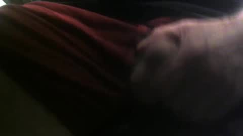 lunatica12 online show from 02.23.25